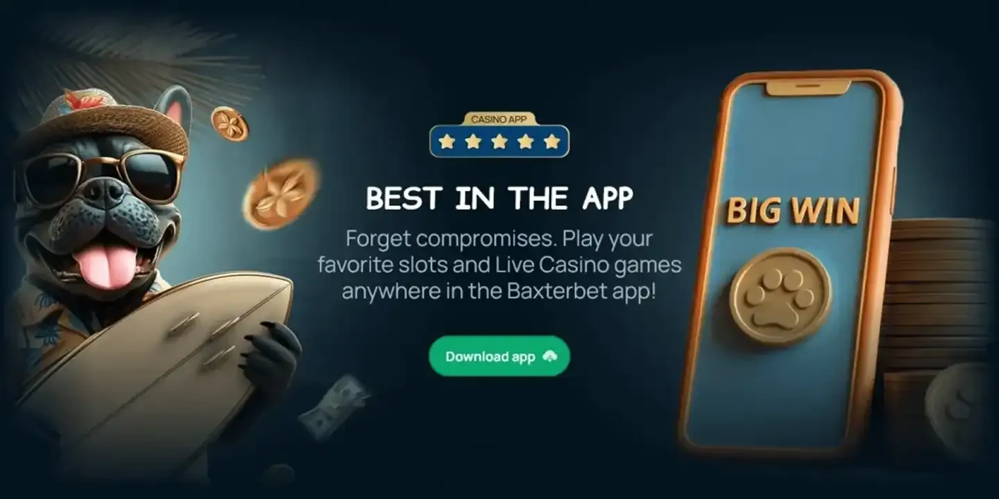 BaxterBet02_compressed.webp